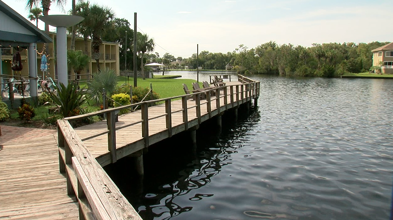 Waterfront Social