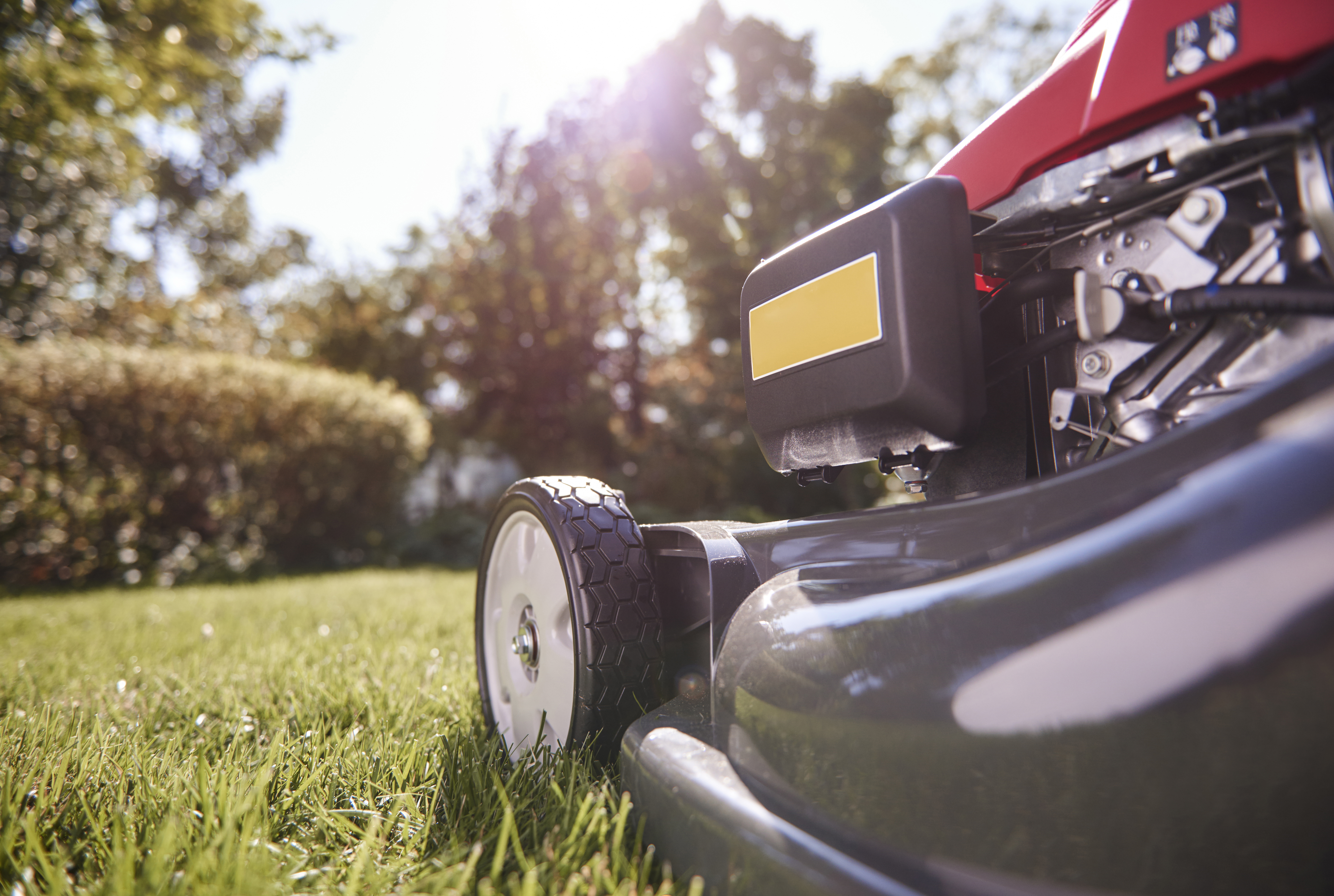 part-of-modern-mower-at-garden-SBI-328456062.jpg