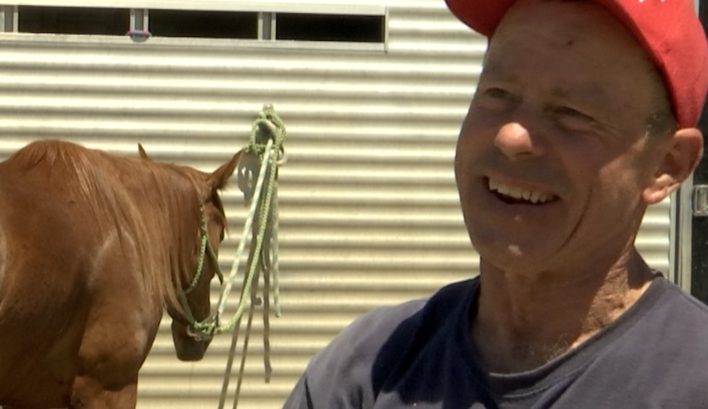 Greenough Horseshoes.png