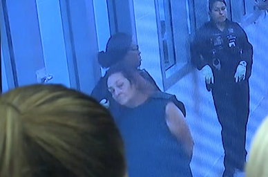 Report: Lehigh mother planned family suicide pact, charged with attempted murder