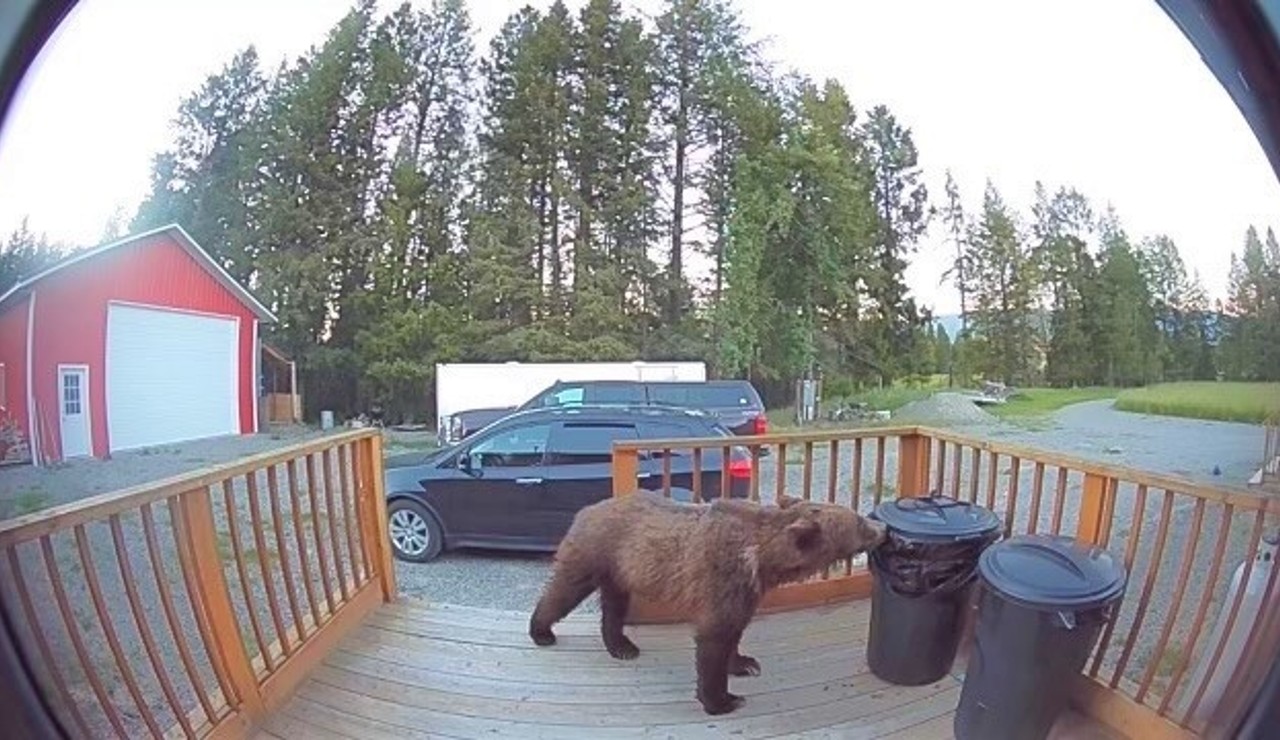 FWP Bear Garbage Can