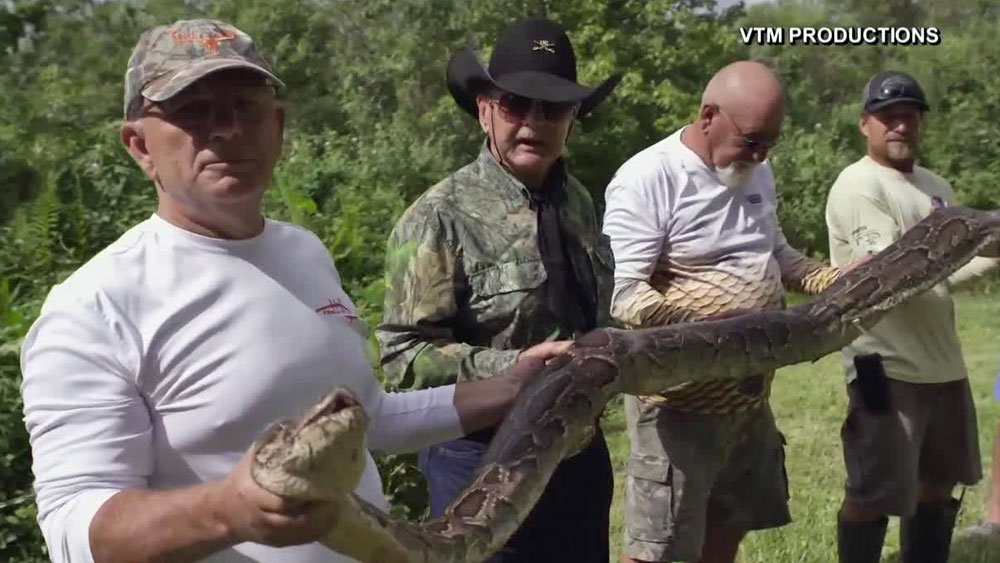 wptv-python-.jpg