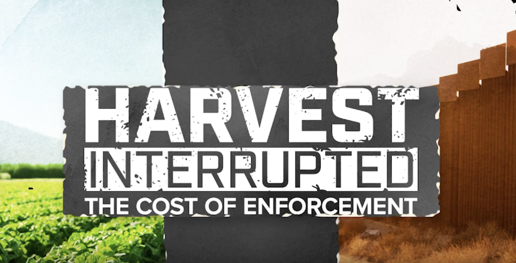 Harvest Interrupted