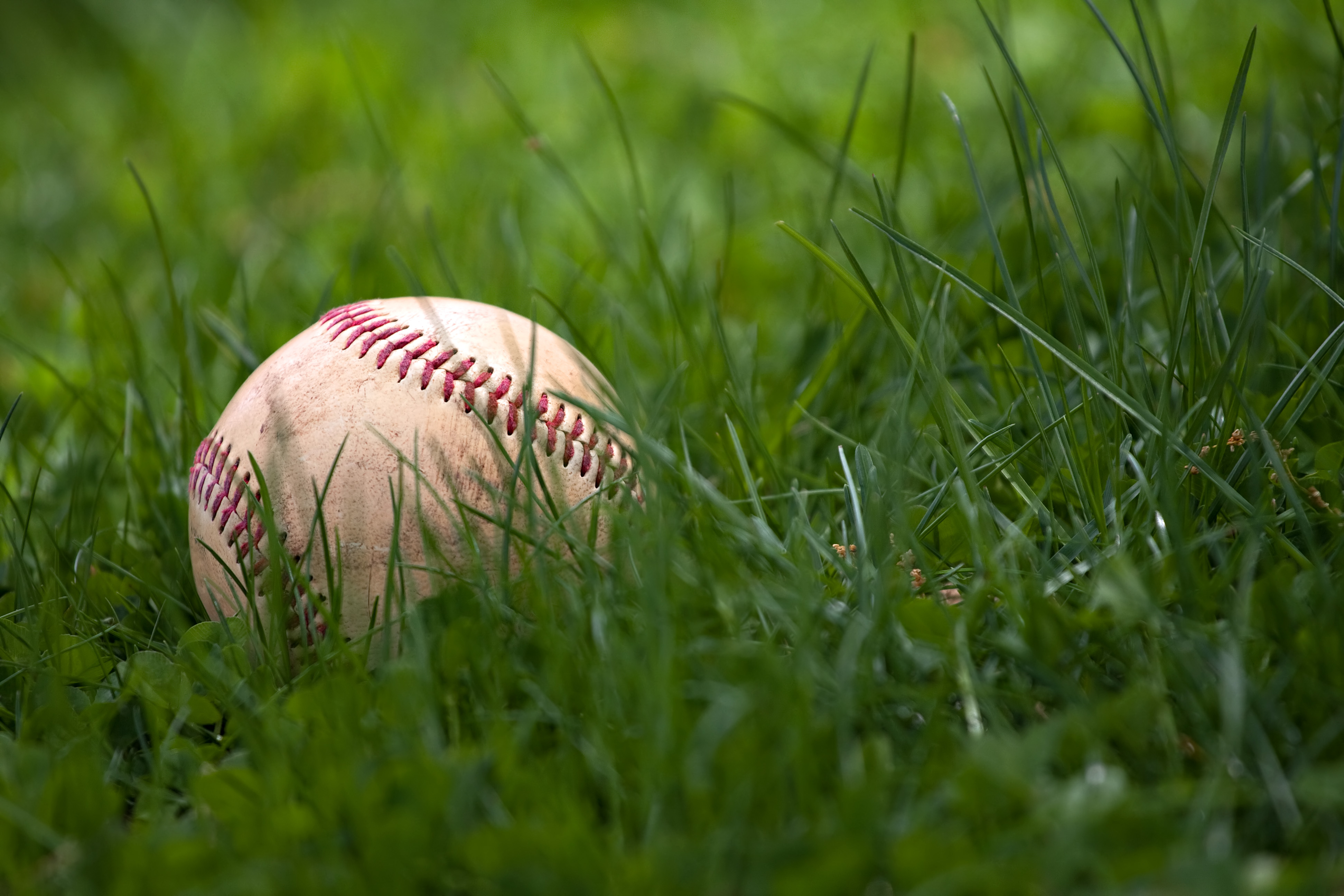 Baseball in the Grass