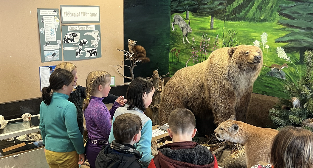 Summit Nature Center