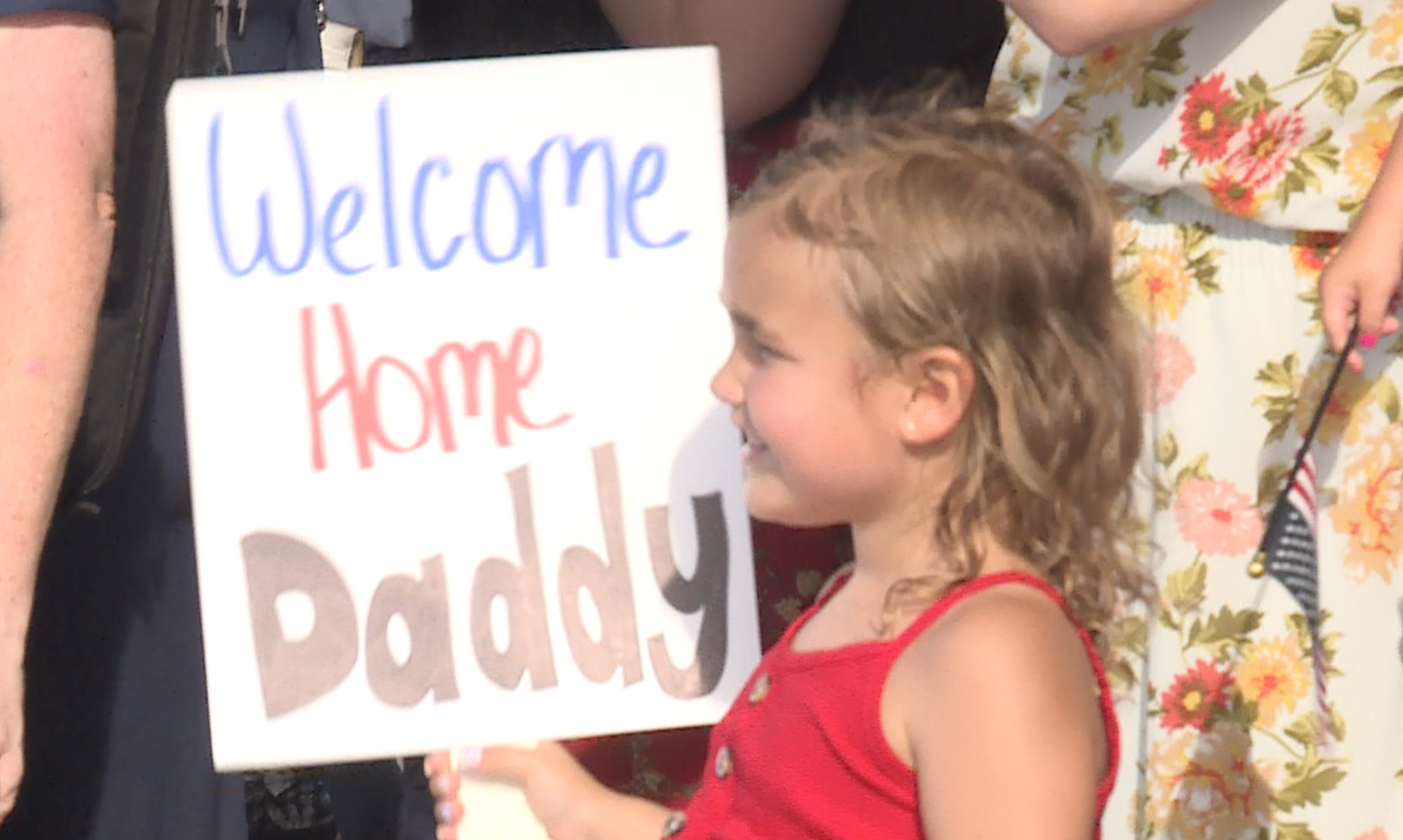 'Dusty Dogs' come home