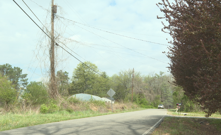 power pole concerns in Ashland City 