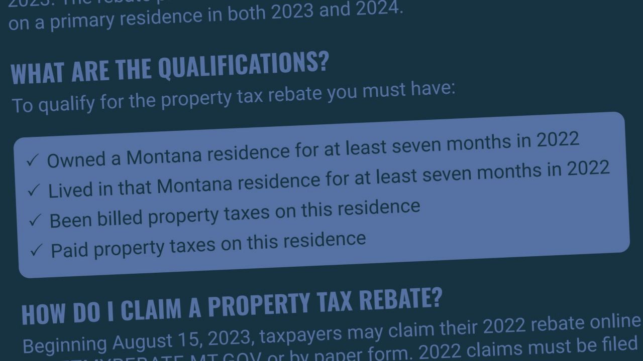 taxertint.jpg