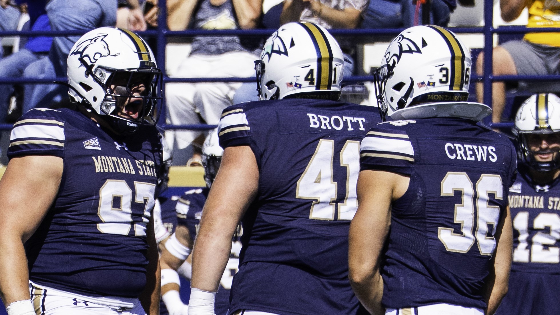 Montana State defense