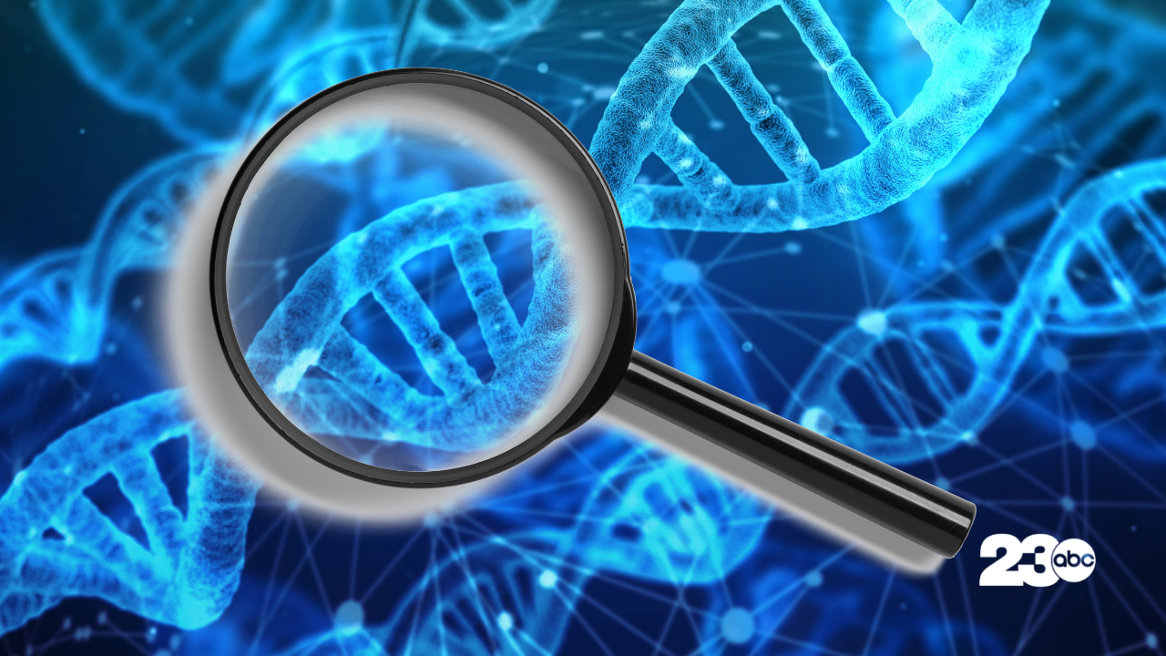 DNA Investigation (FILE)