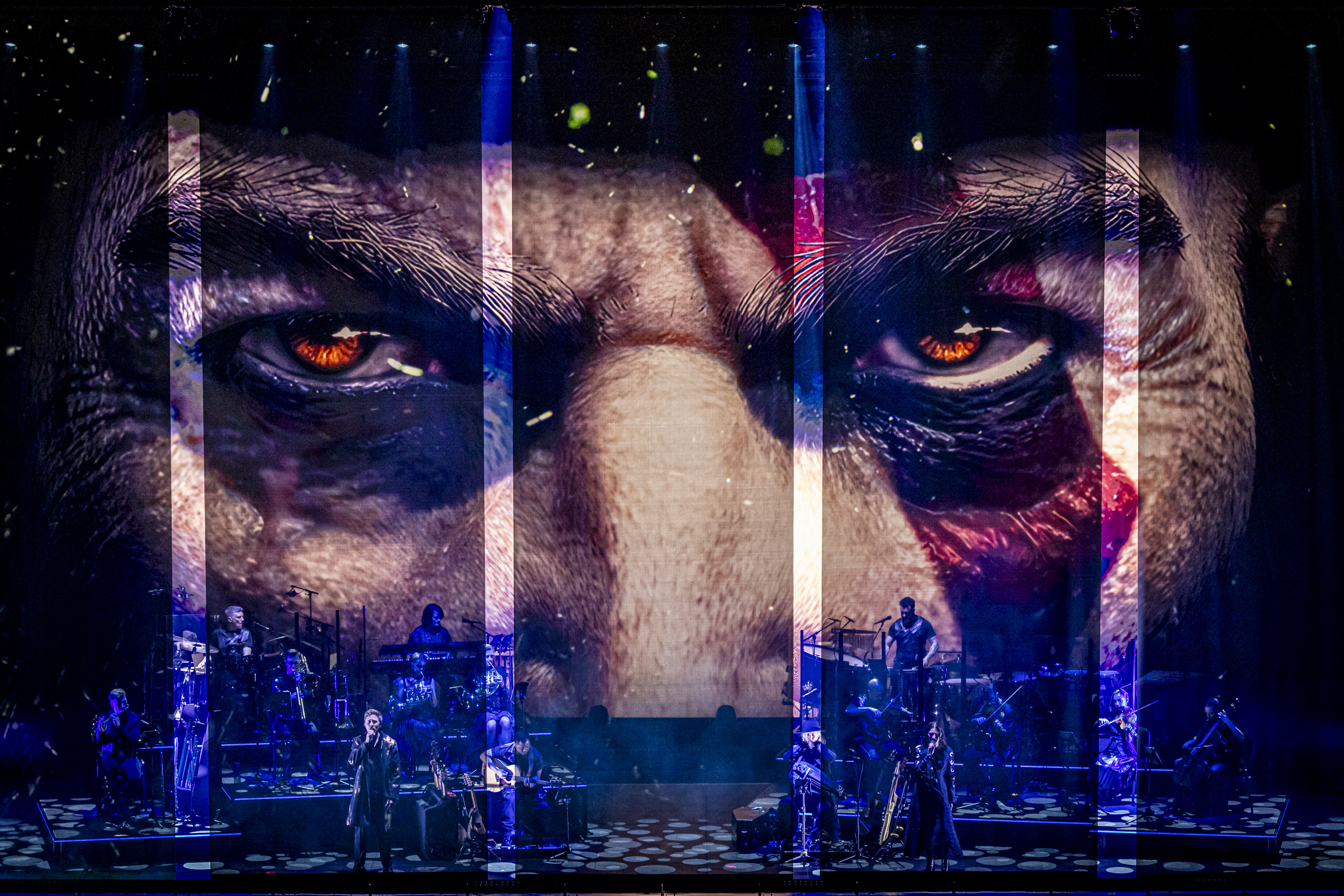PlayStation: The Concert