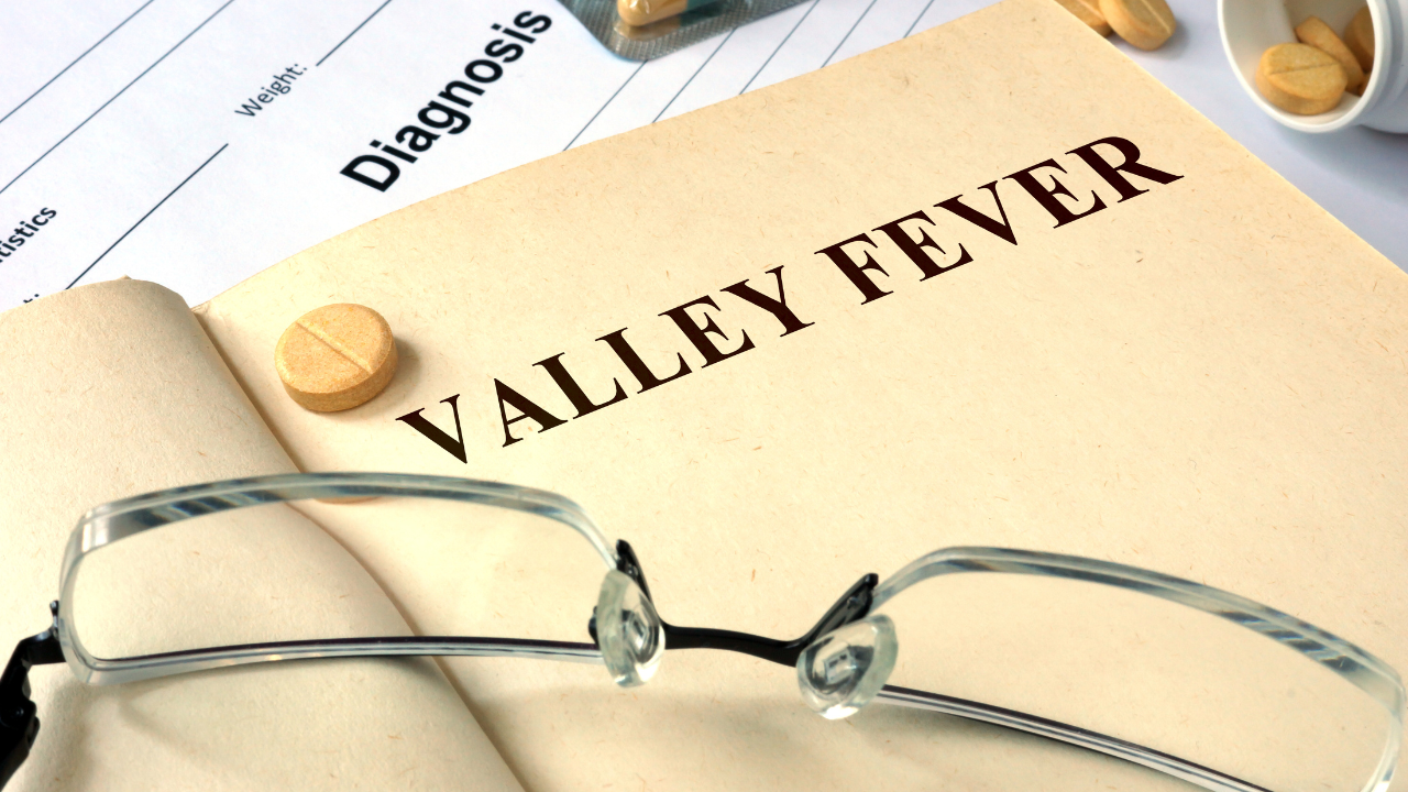 Valley Fever (FILE)