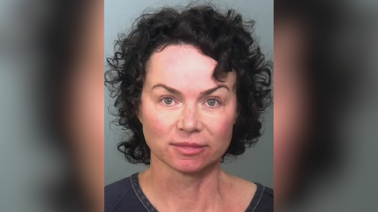 Amy Tarkanian DUI mugshot