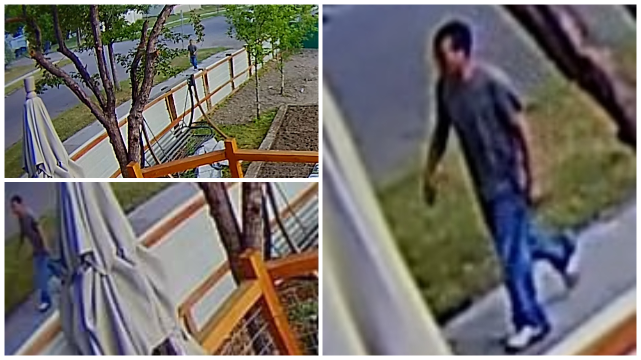 Police investigating vandalism spree in Great Falls