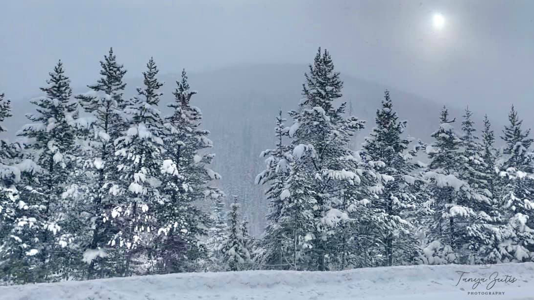 Berthoud Pass Dec 29 2021_Tanya Zutis