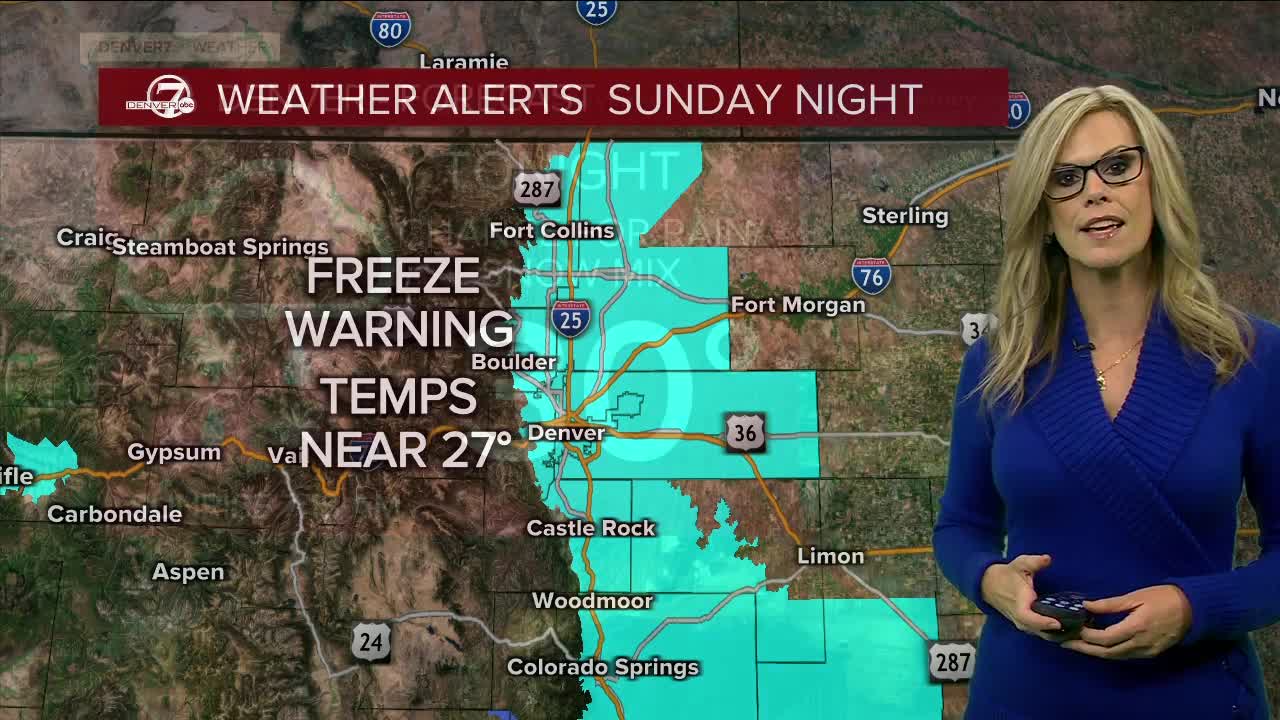 Freeze Warning Metro