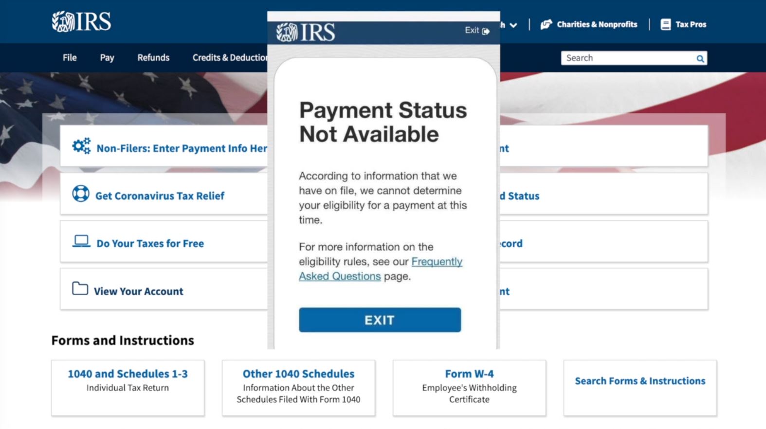 Payment Status Not Available.JPG