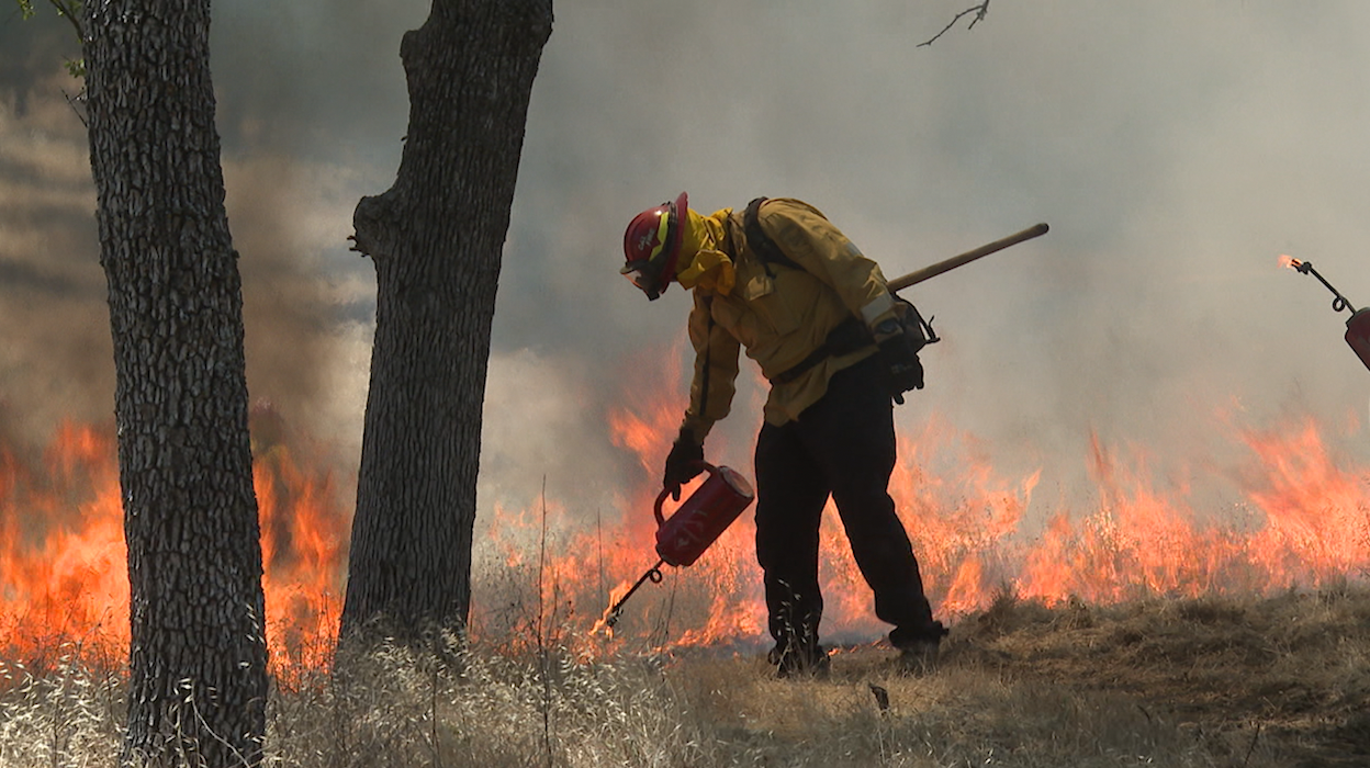 prescribed burn camp roberts.png