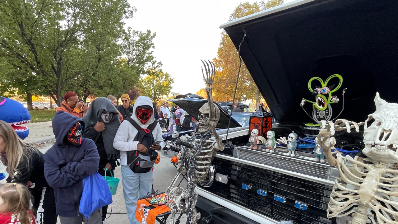 Bison Roundup, Sheep Parade, Witches Dances and MORE events happening across Utah this weekend!