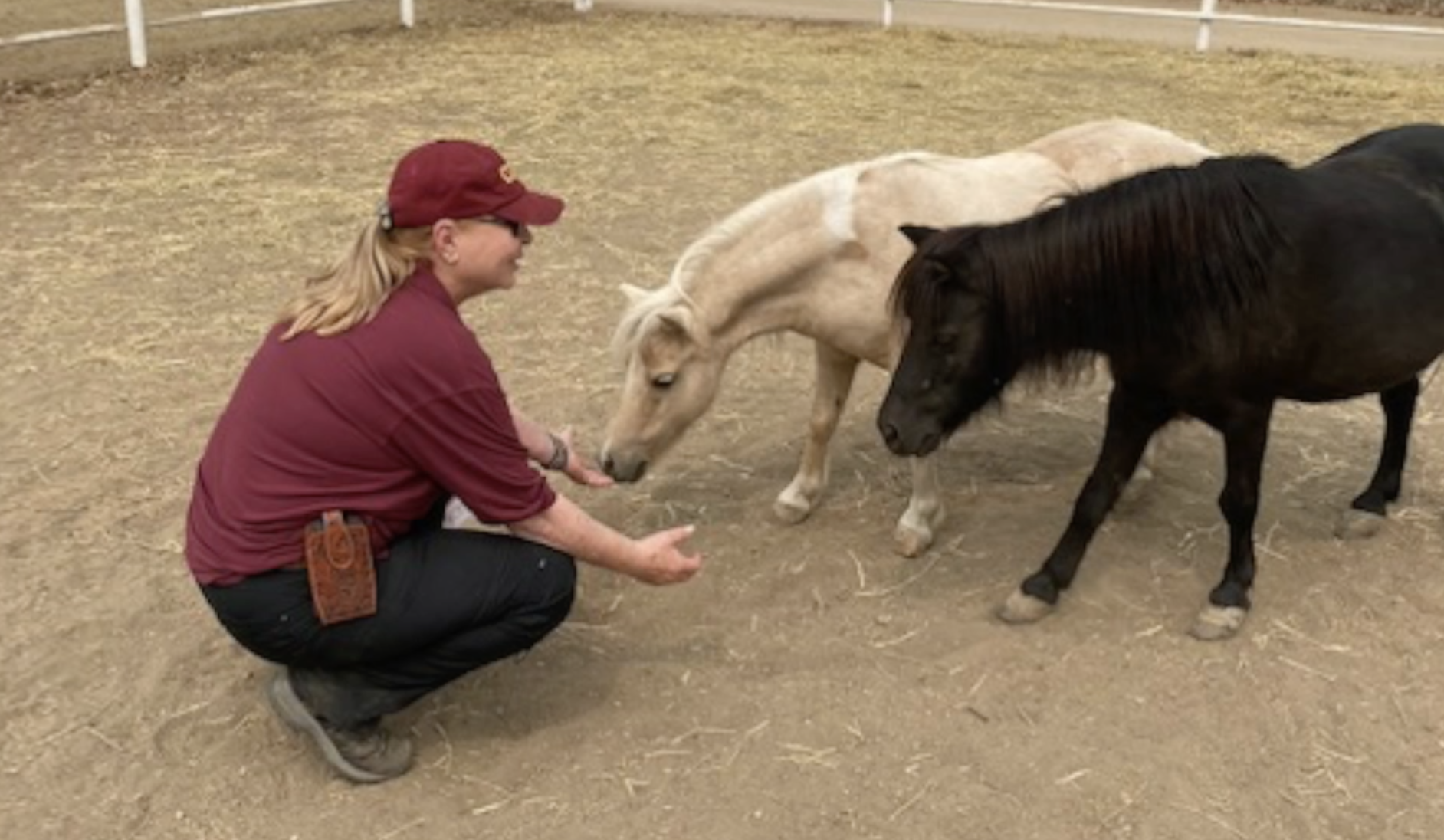 central california animal disaster team