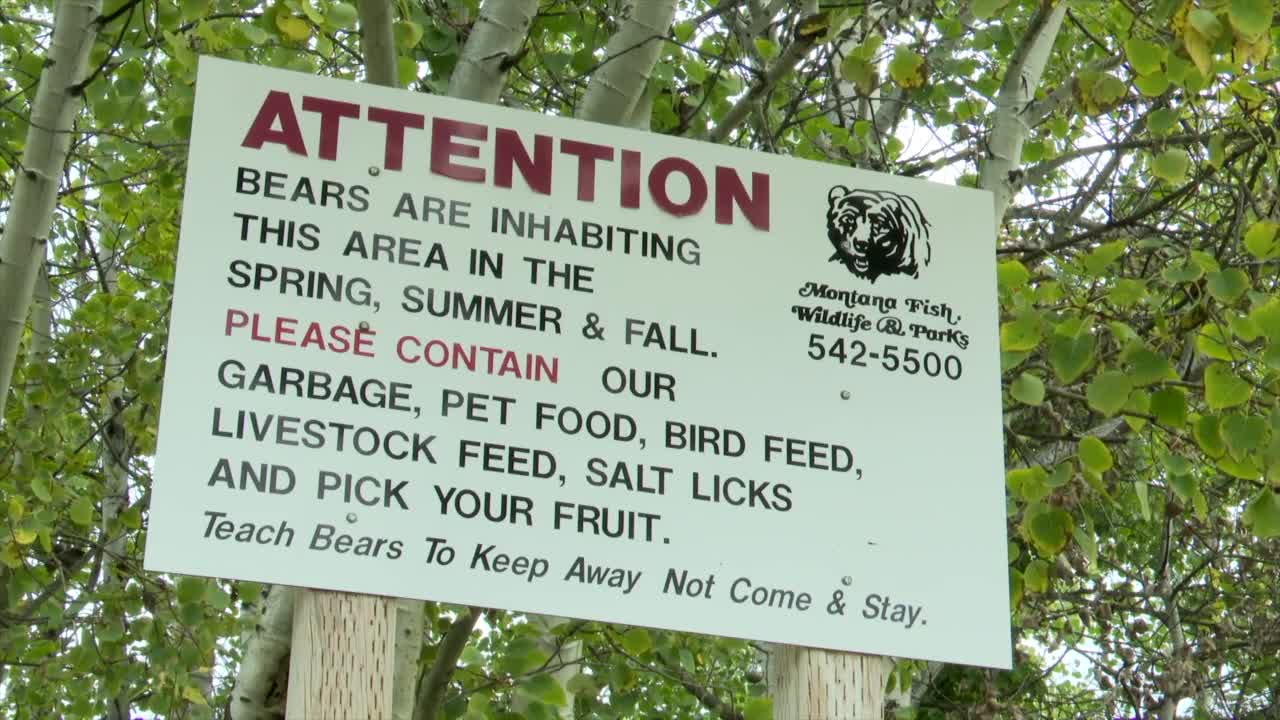 Bear Warning Sign Missoula