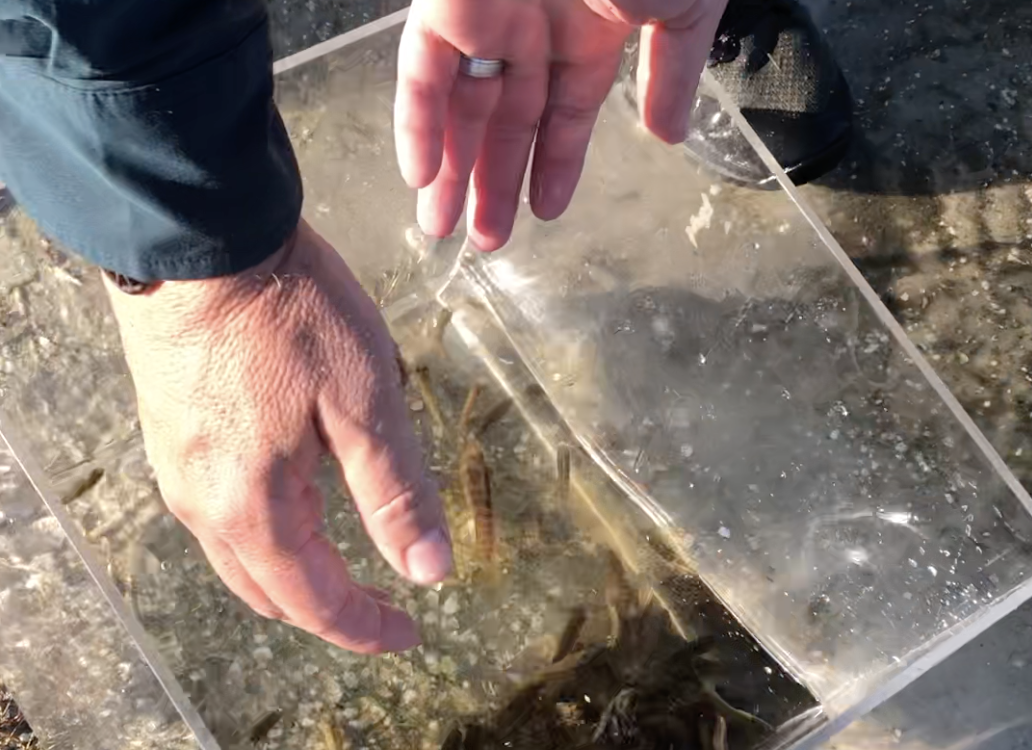 Screen Shot 2022-08-17 at 10.30.39 AM.png