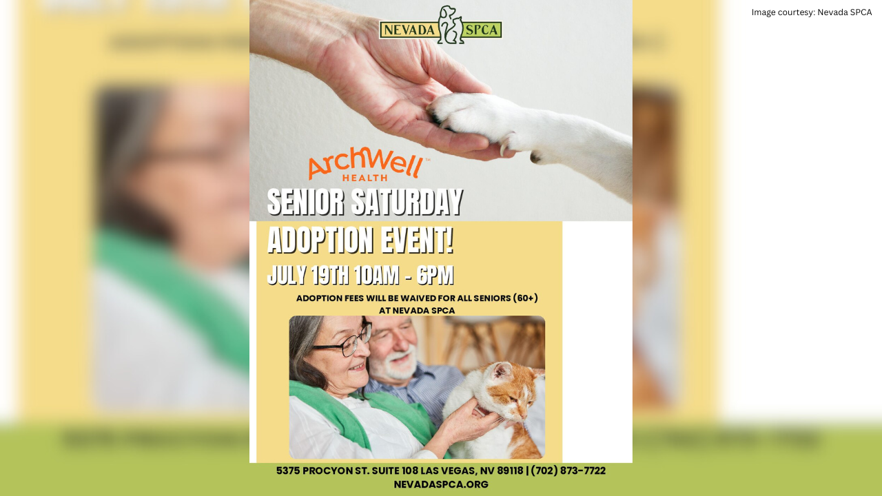 Nevada SPCA senior adoption event