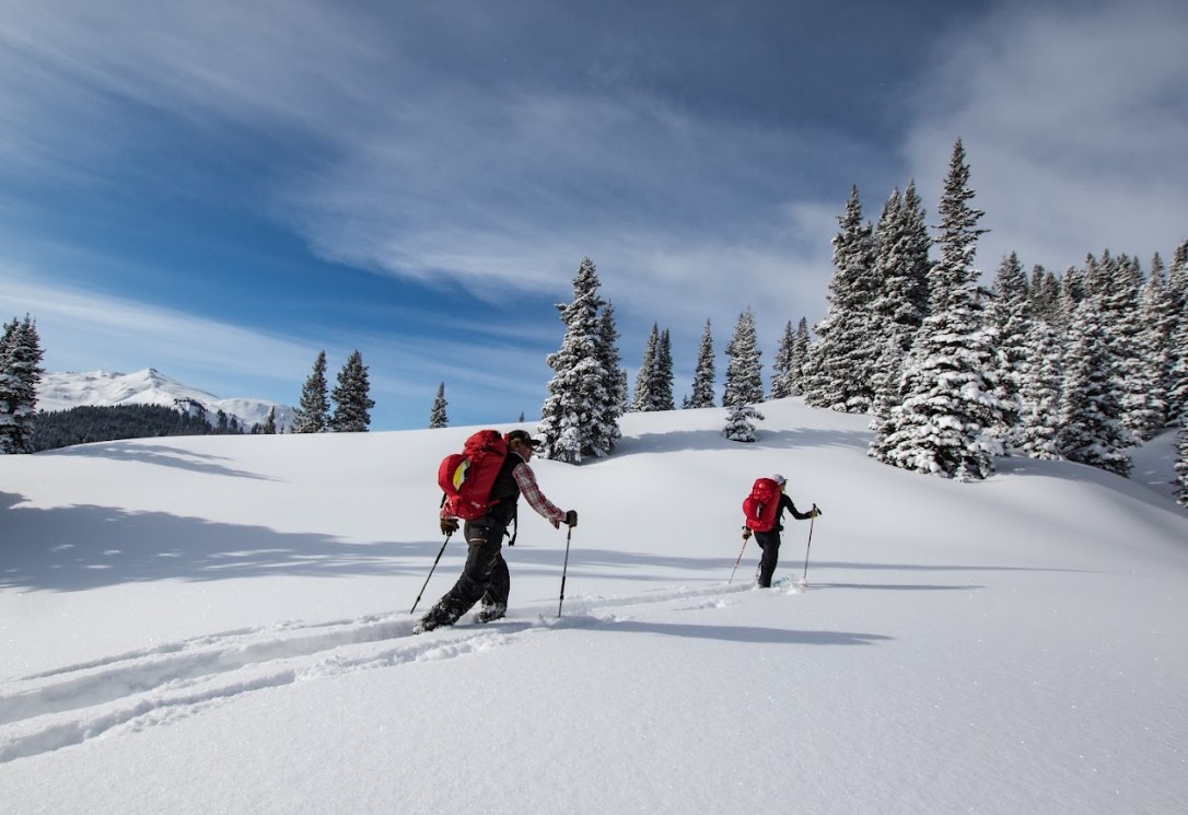 People backcountry skiing 