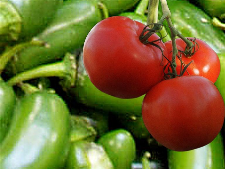 gardening vegetables AP