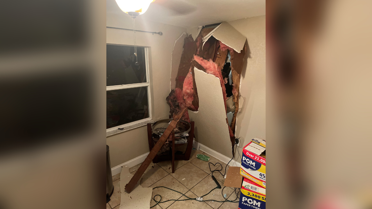 TAFY tree into brandon home.png