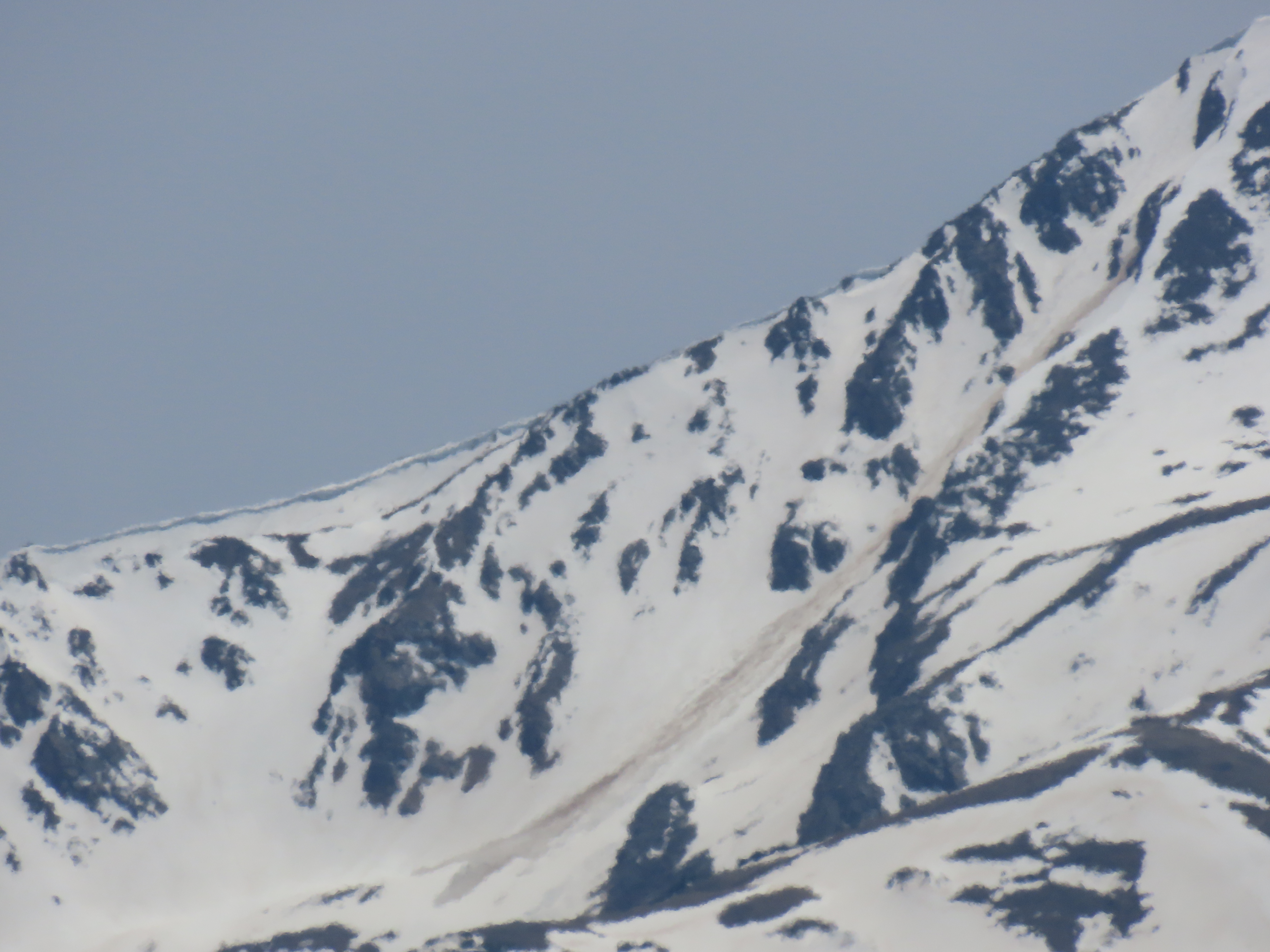 Large wet avalanche on Mt Hope