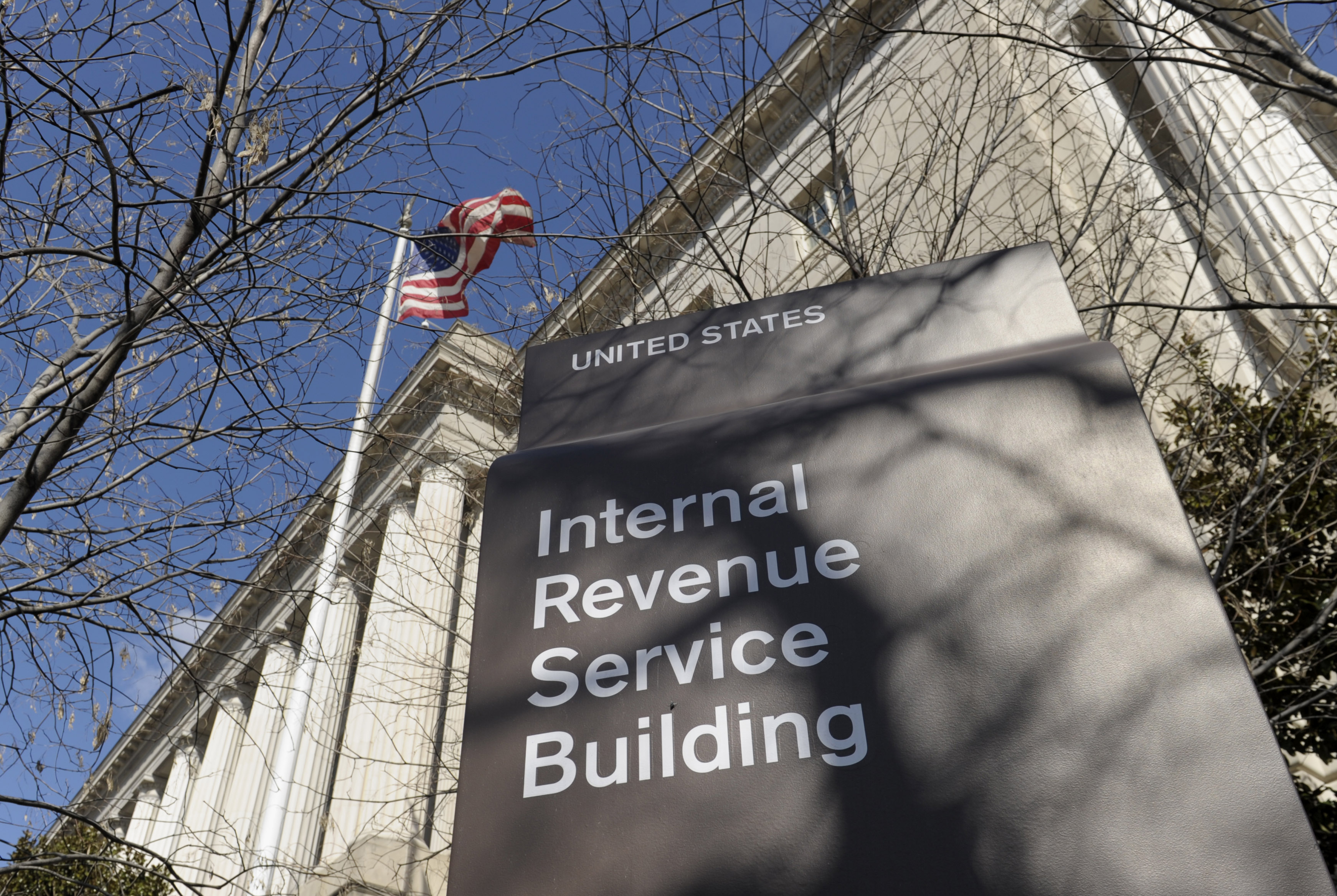IRS Audits