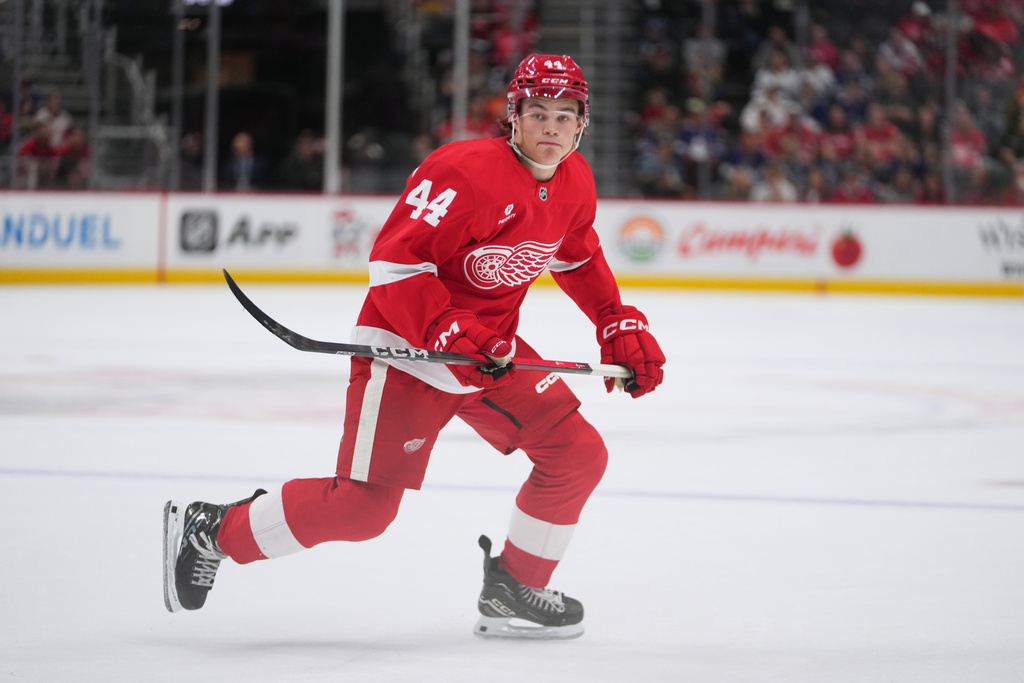Maple Leafs Red Wings Hockey