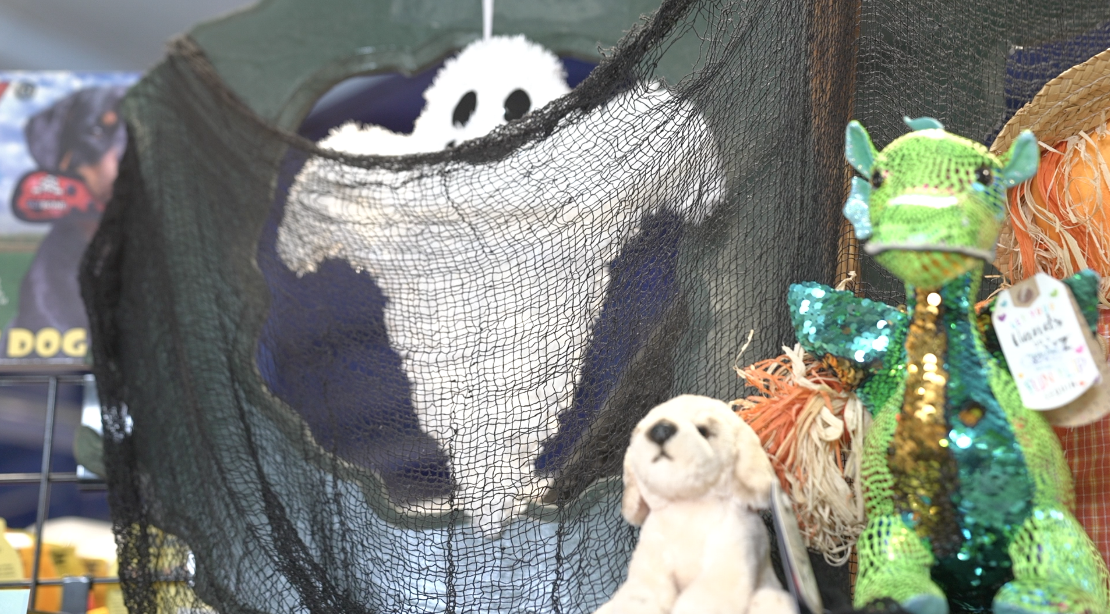 Halloween decorations at Preuss Pets 
