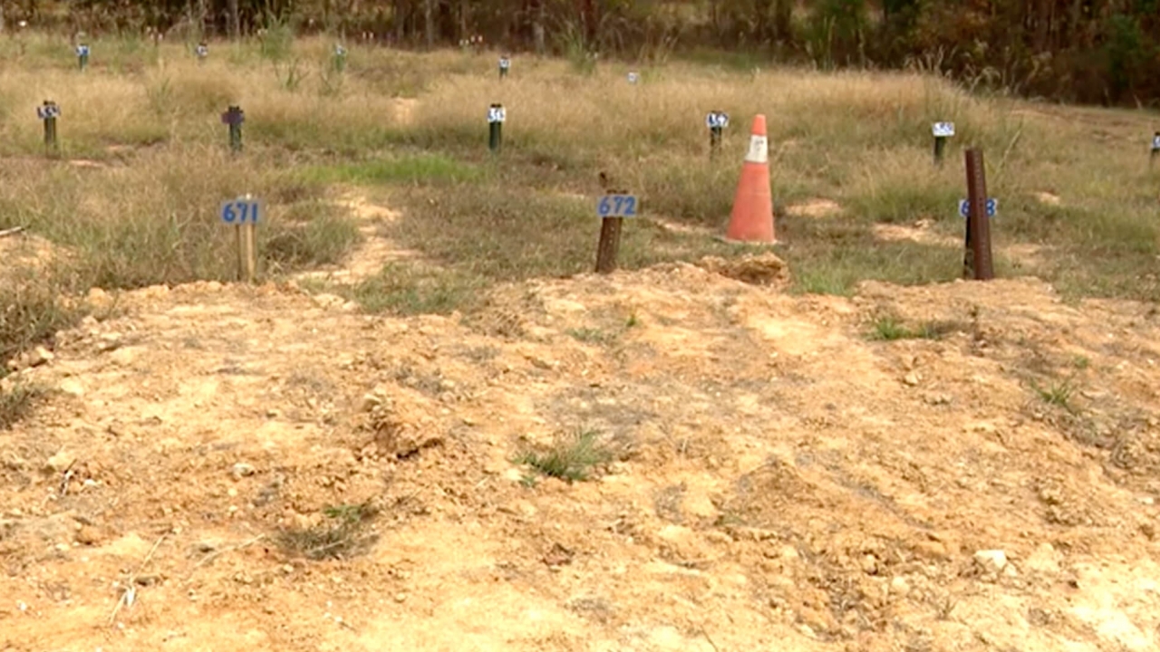 The marked graves