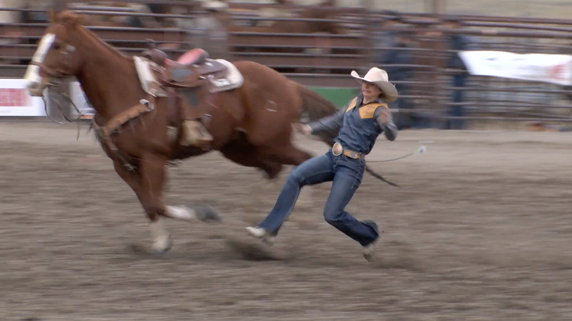 Montana State Spring Rodeo