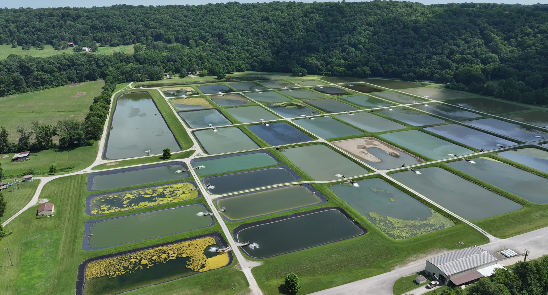 Peter W. Pfeiffer Hatchery