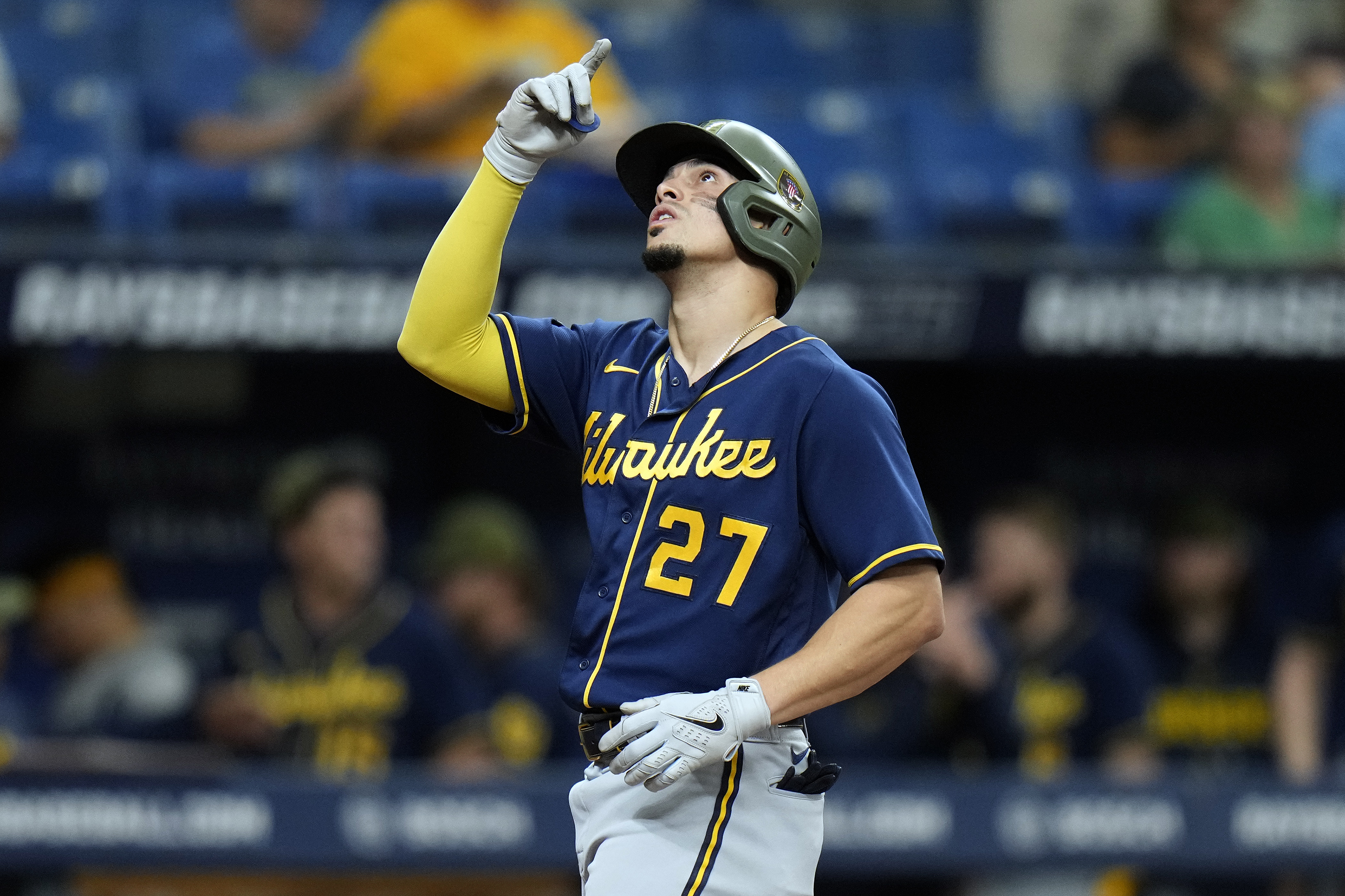 Brewers Rays Baseball