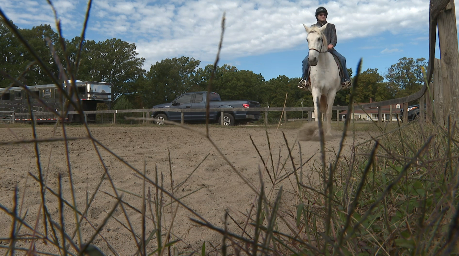 How these horses are changing the lives of those with special needs