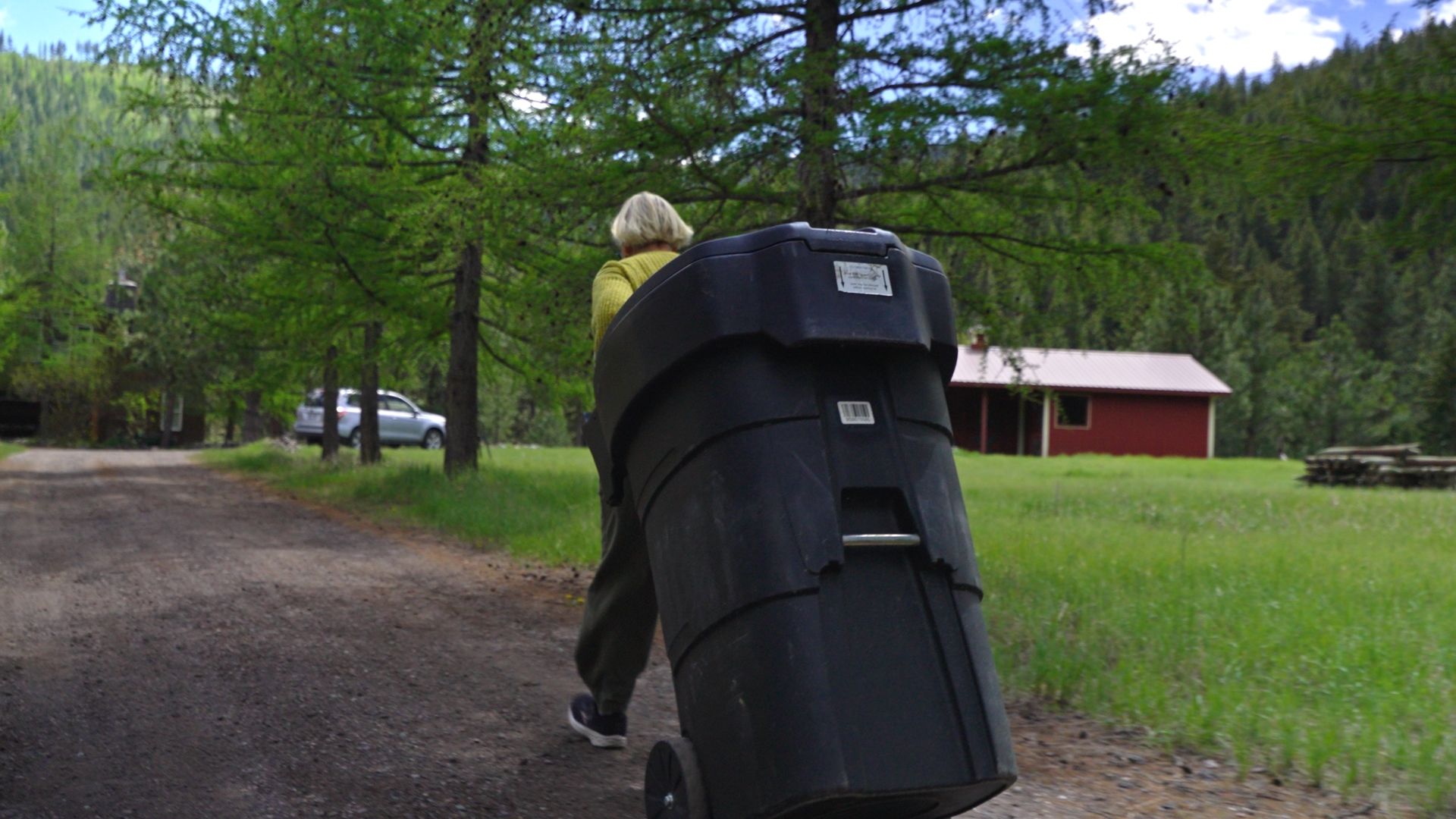 Bear-resistant Trash Can 