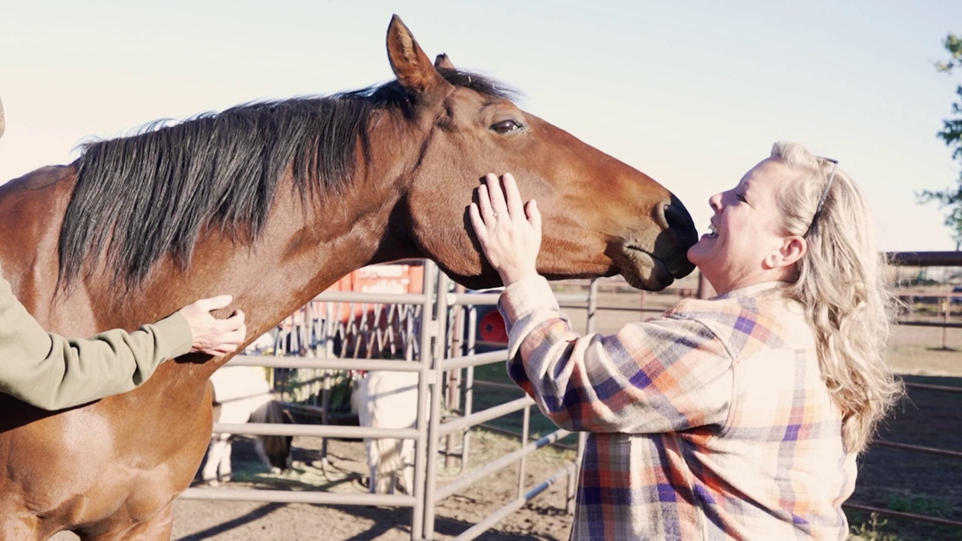 Veterans find healing through horses with Eagle Mount program