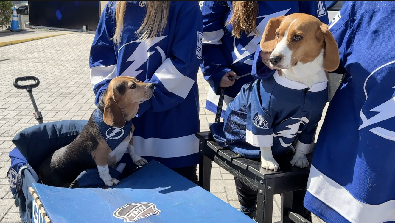 Screenshot 2025-11-12 at 6.58.45 PM.png