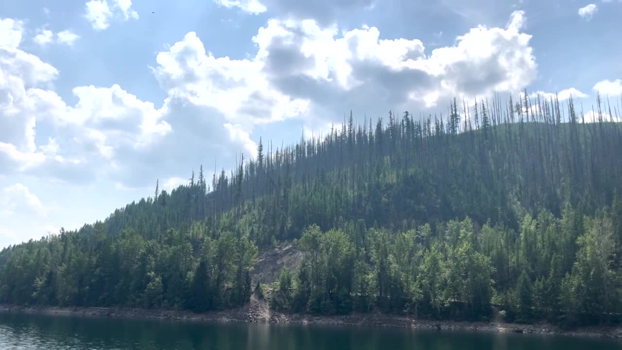 Recent rainfall beneficial to crews battling Ridge Fire - Vimarsana News