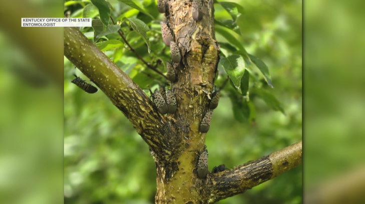 Screenshot 2026-01-12 180043.png