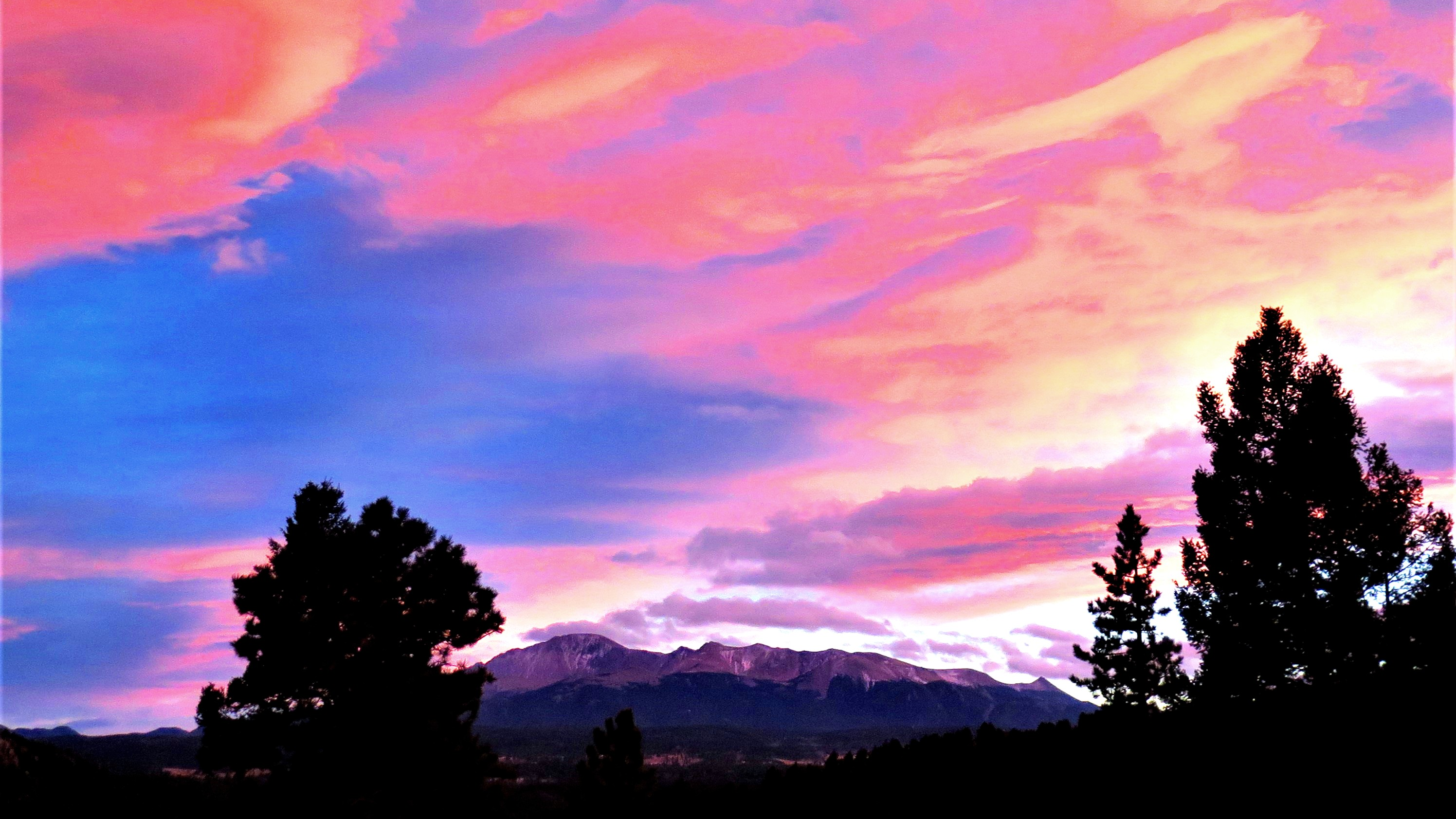 Bonnie Sumner Woodland Park sunset.png