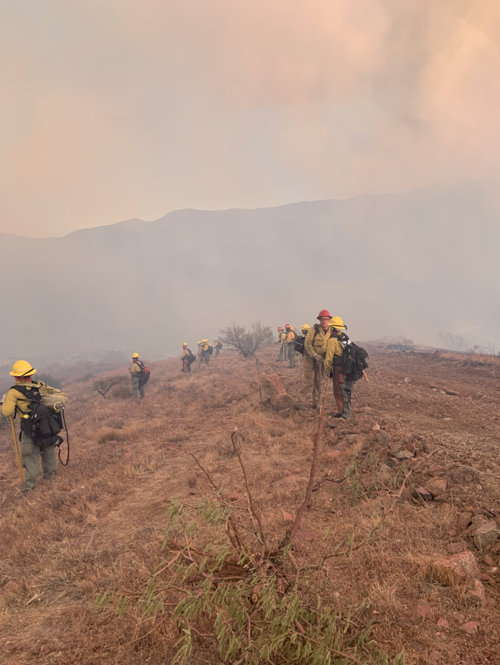 Screen Shot 2021-06-09 at 7.23.16 PM.png