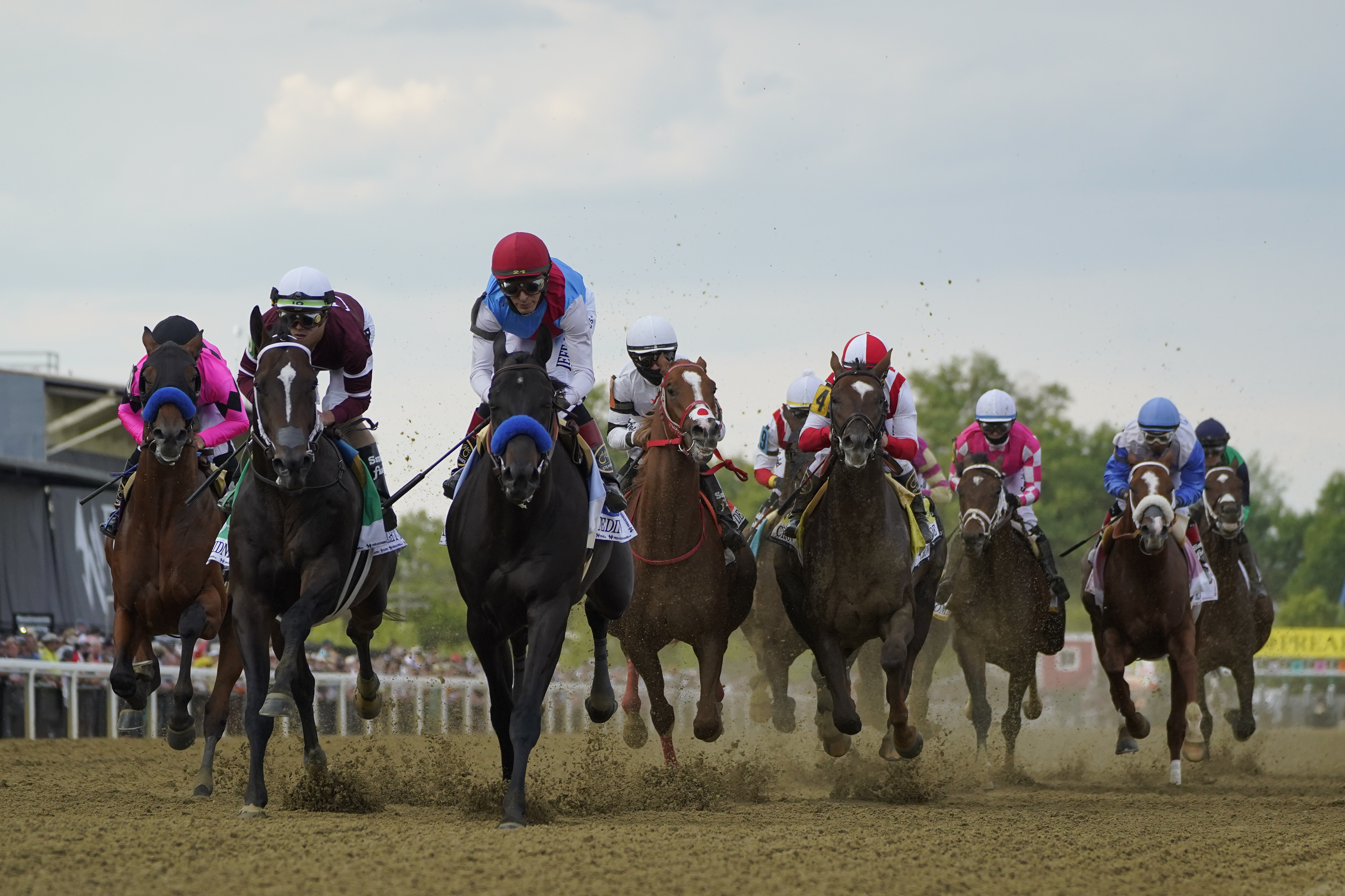 Preakness Stakes Horse Race