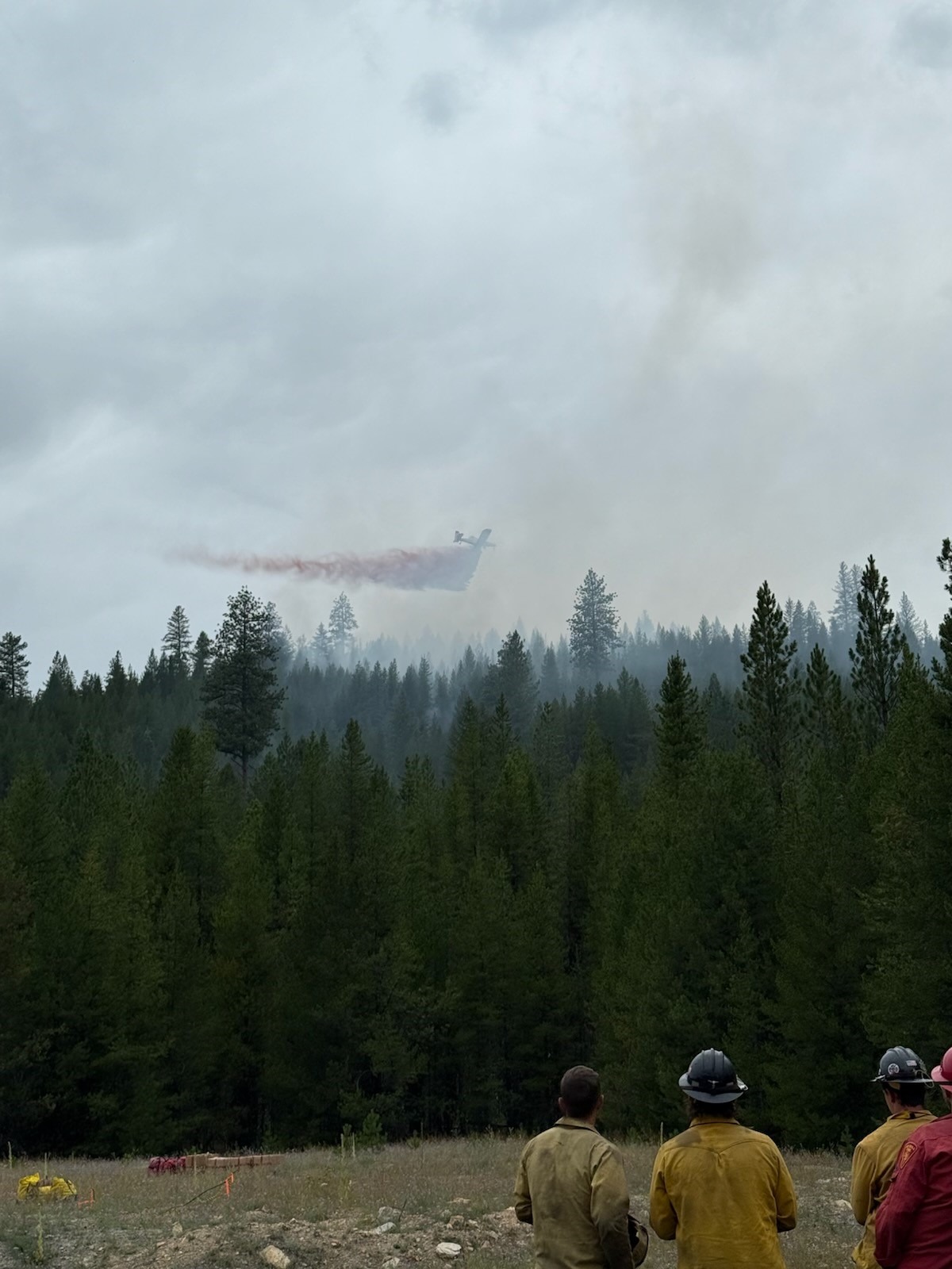 Lolo NF Fires