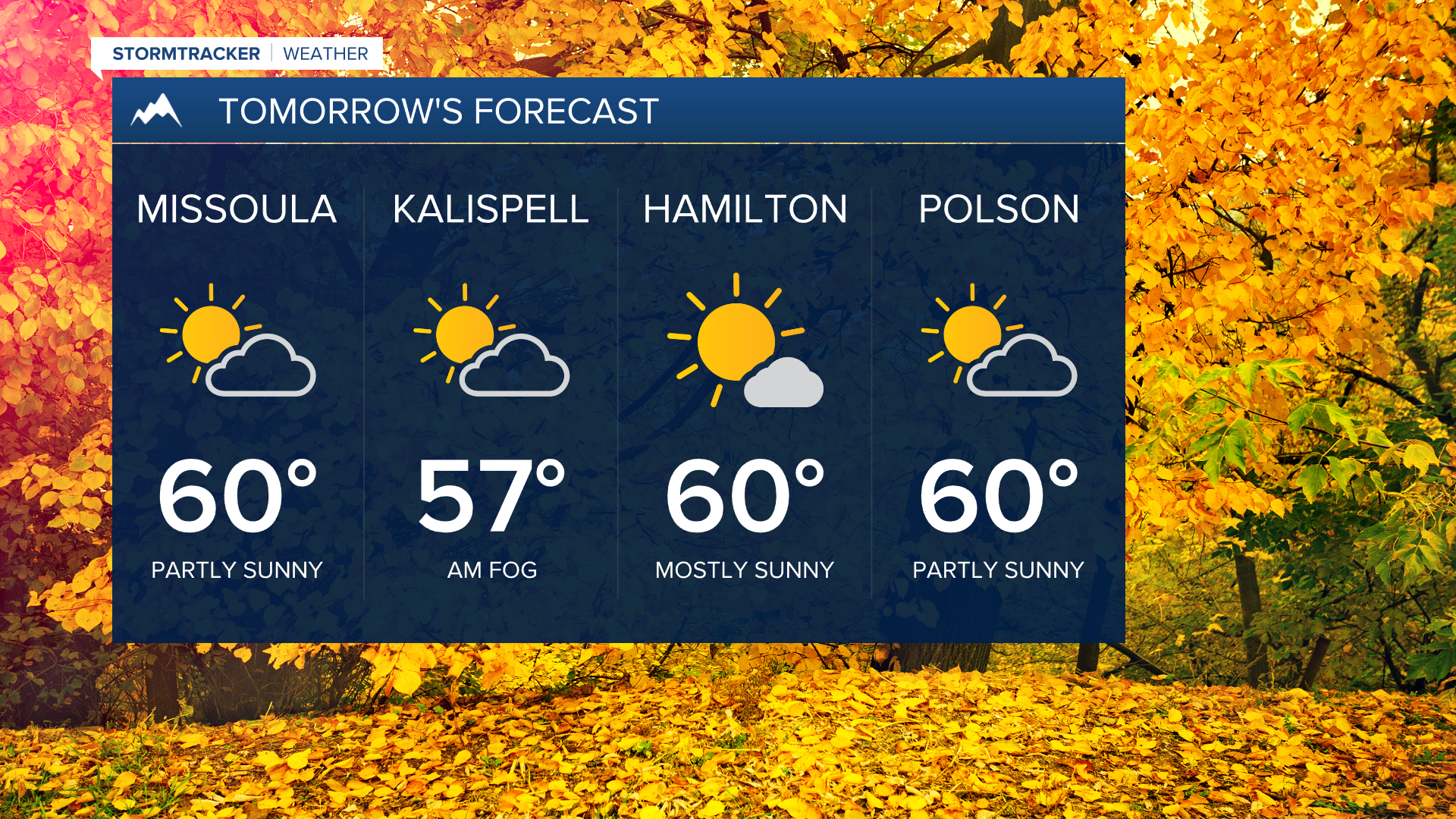 Thursday's Forecast