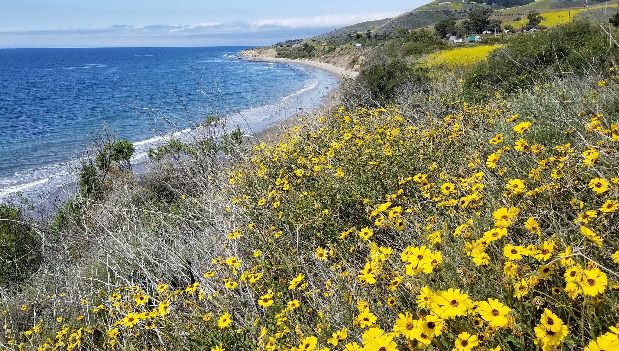 El Capitan State Beach